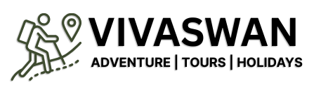 Web logo